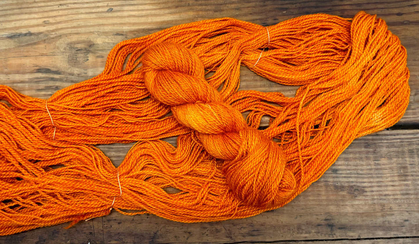 Citrus Blaze Alpaca