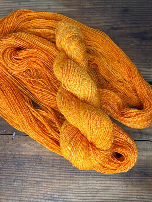 Orange Daggertail DK