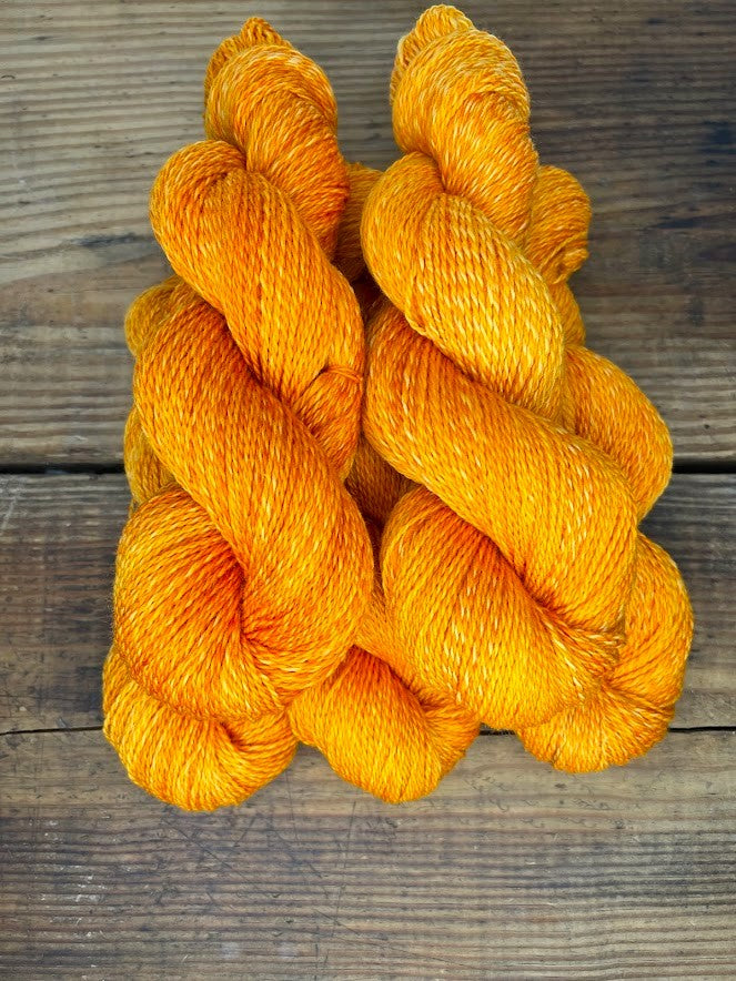 Orange Daggertail DK