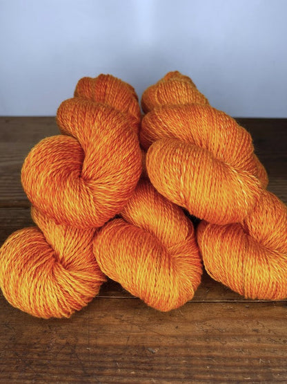 Orange Daggertail DK